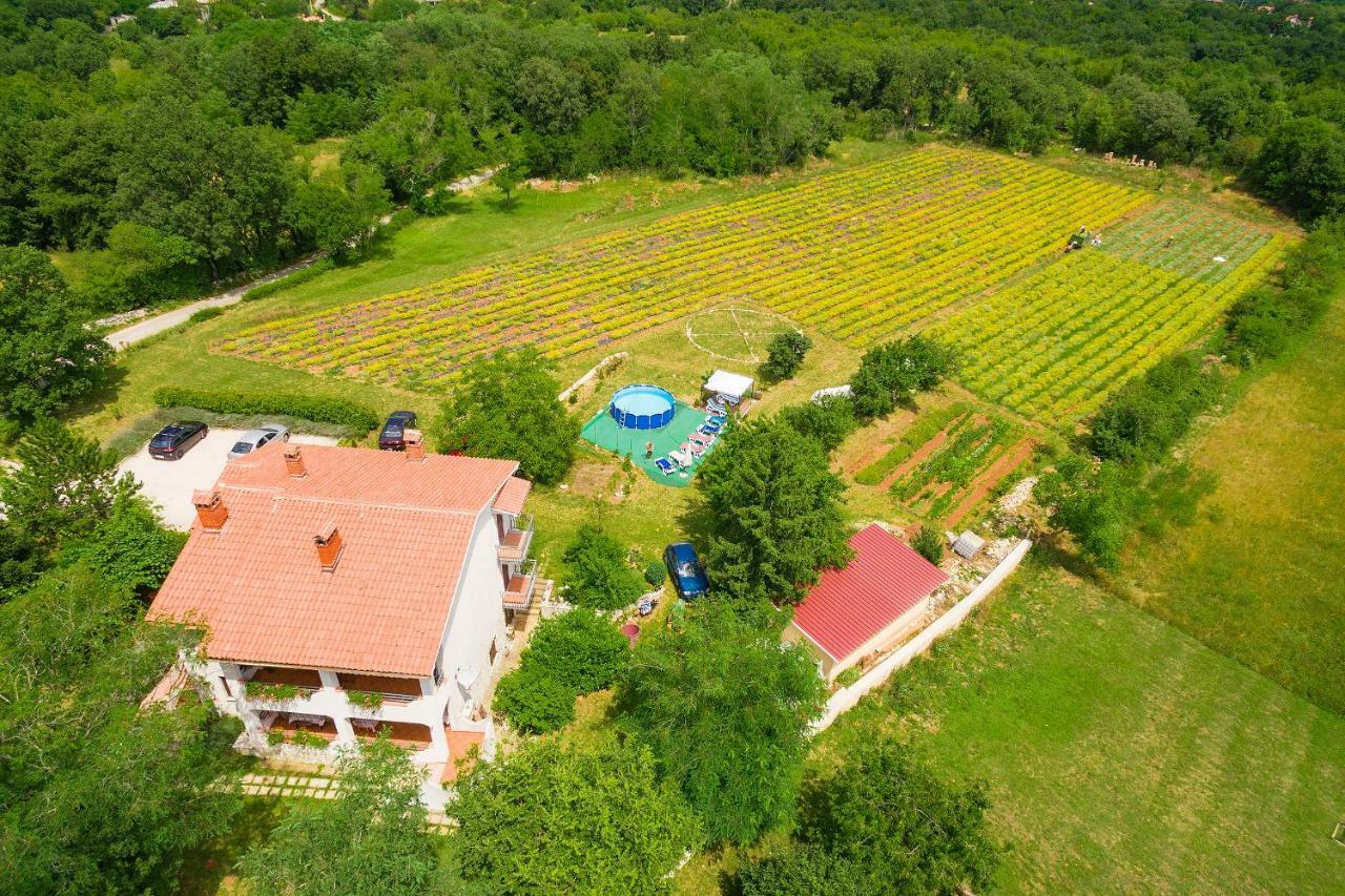 Apartments Valoda Nedeščina エクステリア 写真