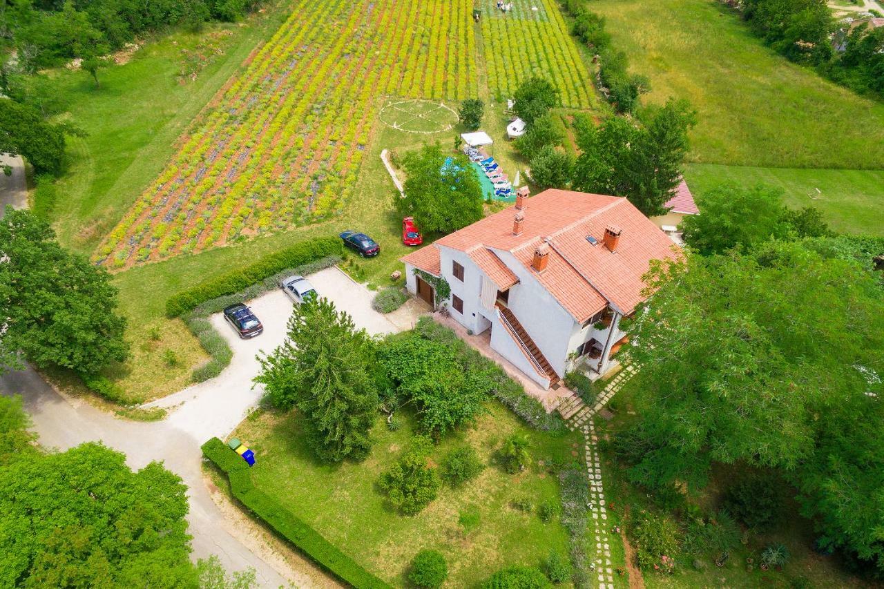 Apartments Valoda Nedeščina エクステリア 写真